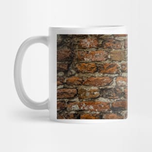 Bricks in the wall Mug